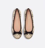 Dior Ballet Flat - Image 4